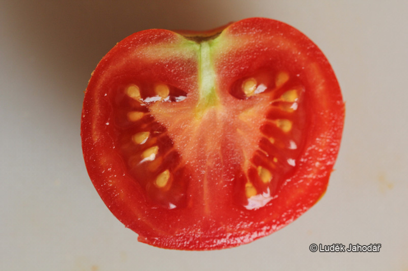 Bobule rajčete jedlého